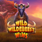 WILD WILDEBEEST WINS